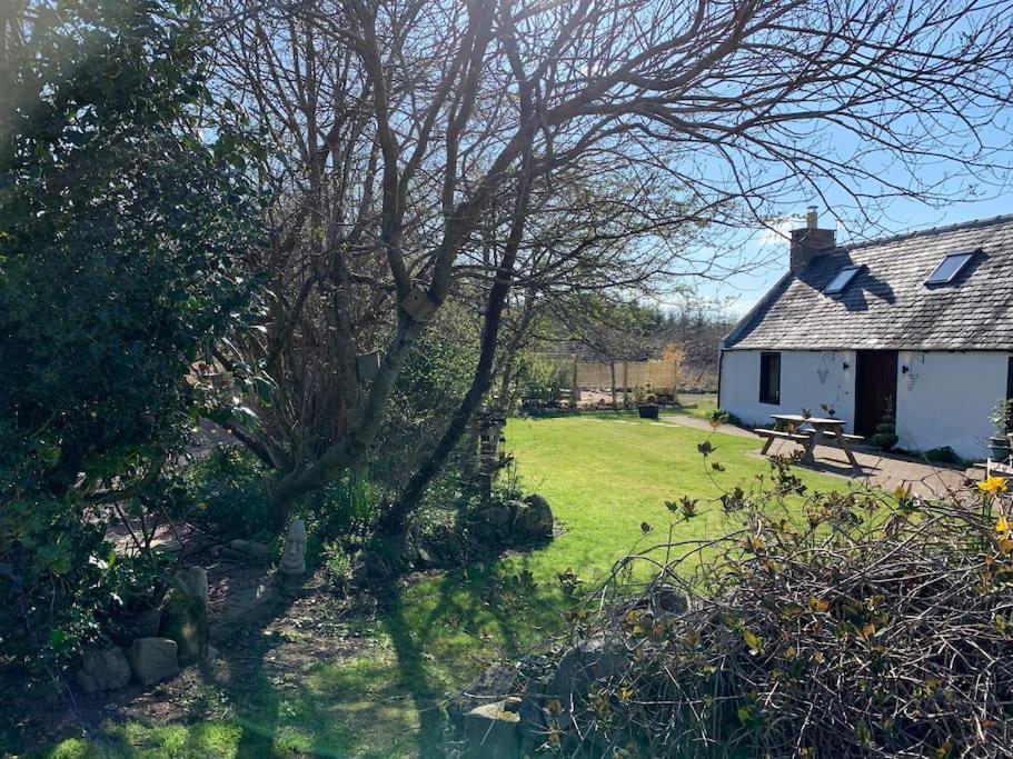 Cosy & Rustic Retreat - Woodland Cottage. Nairn Exteriér fotografie
