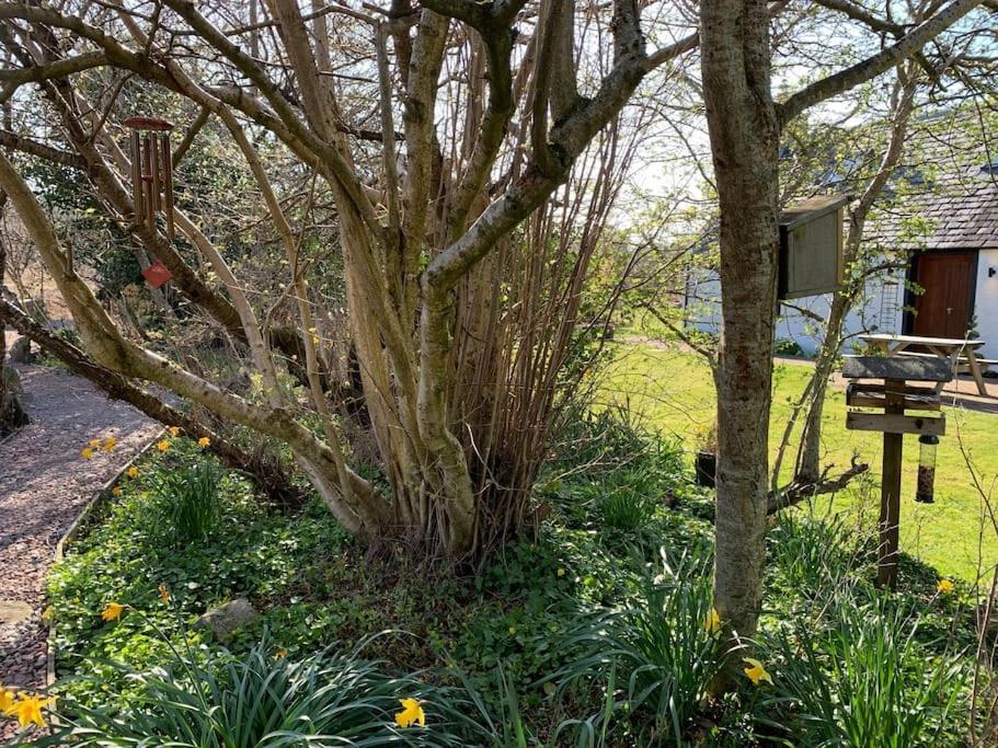 Cosy & Rustic Retreat - Woodland Cottage. Nairn Exteriér fotografie